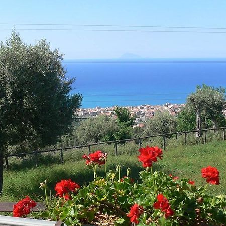 Agriturismo Serre 圣亚加塔·迪·米利特 外观 照片