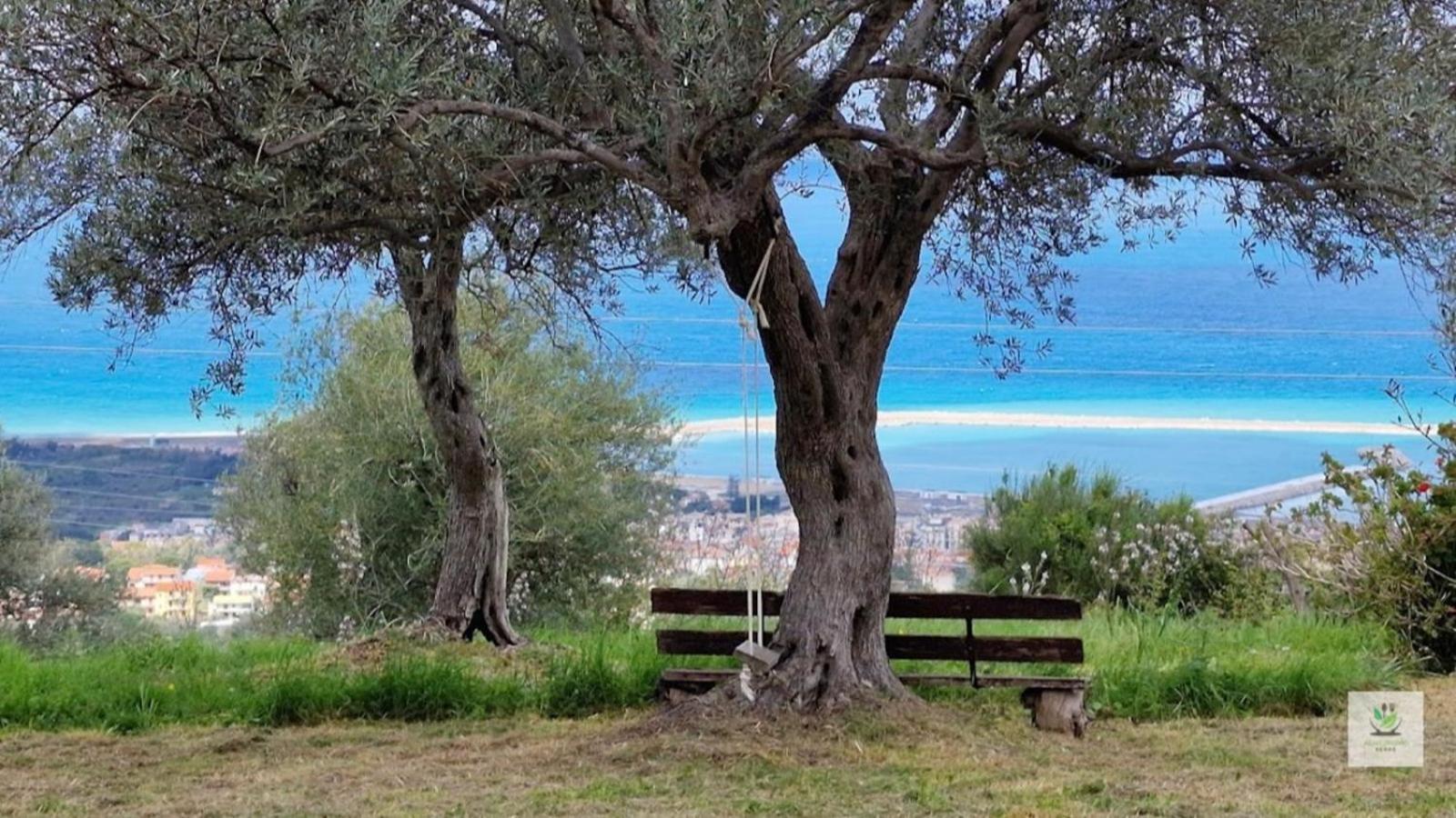 Agriturismo Serre 圣亚加塔·迪·米利特 外观 照片