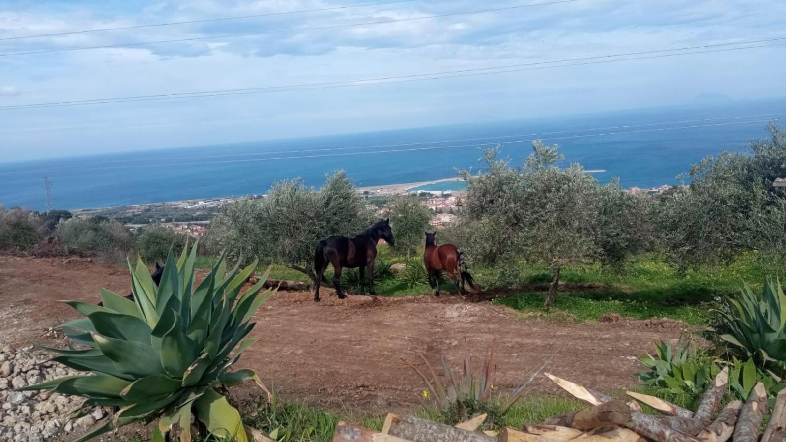 Agriturismo Serre 圣亚加塔·迪·米利特 外观 照片