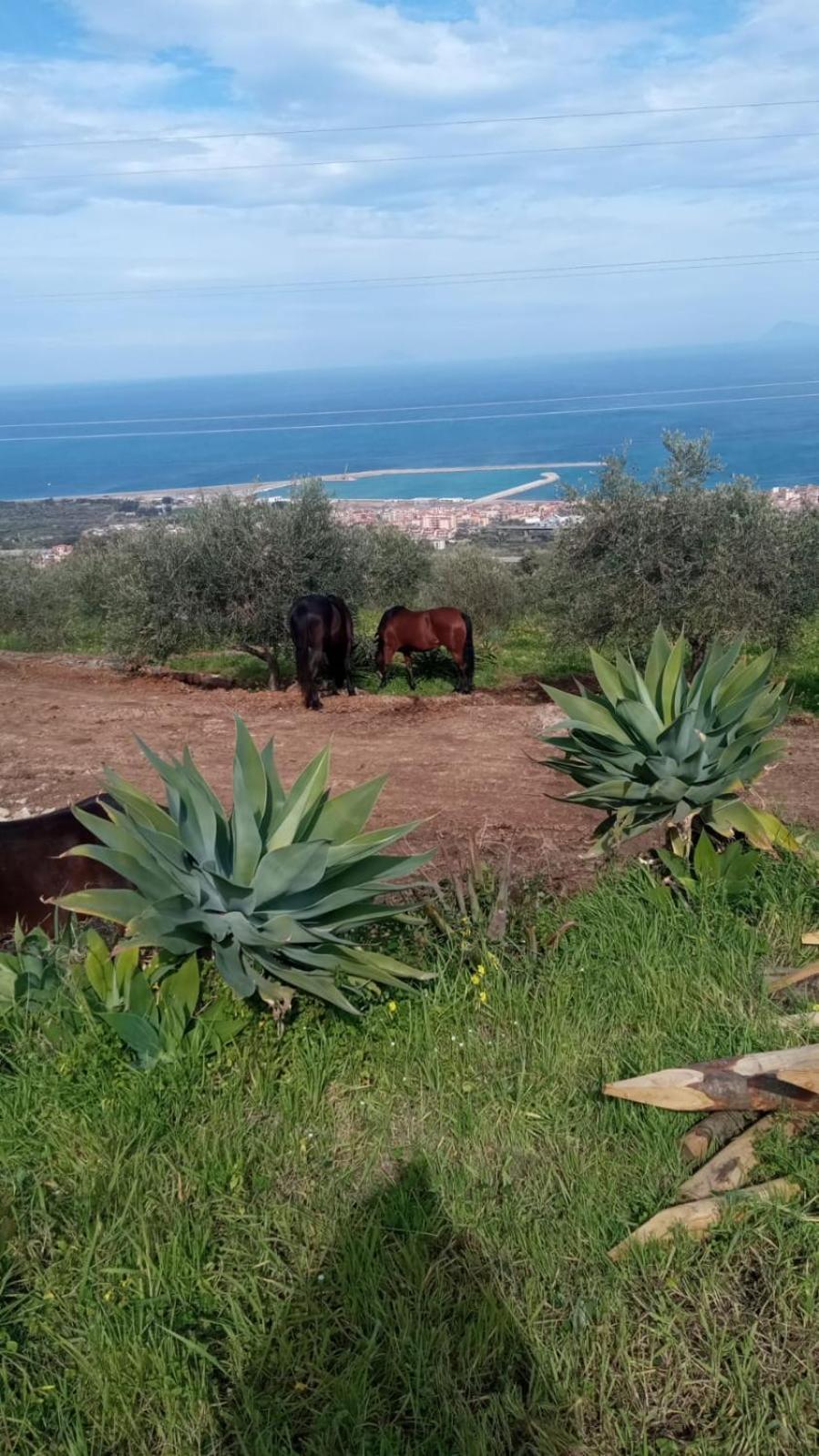 Agriturismo Serre 圣亚加塔·迪·米利特 外观 照片