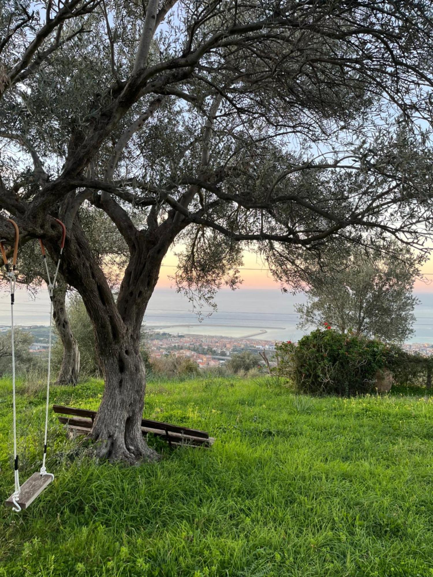 Agriturismo Serre 圣亚加塔·迪·米利特 外观 照片