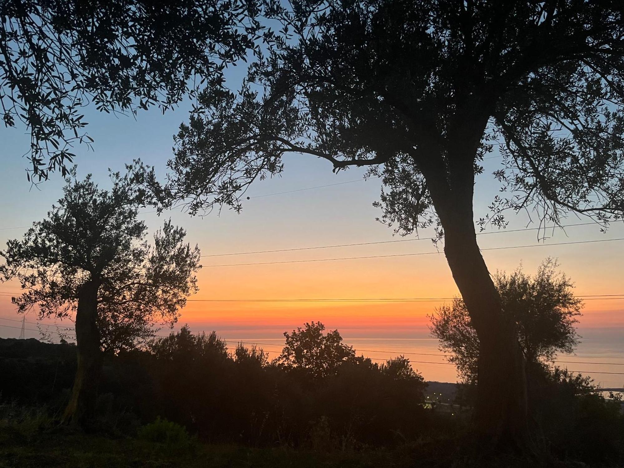 Agriturismo Serre 圣亚加塔·迪·米利特 外观 照片
